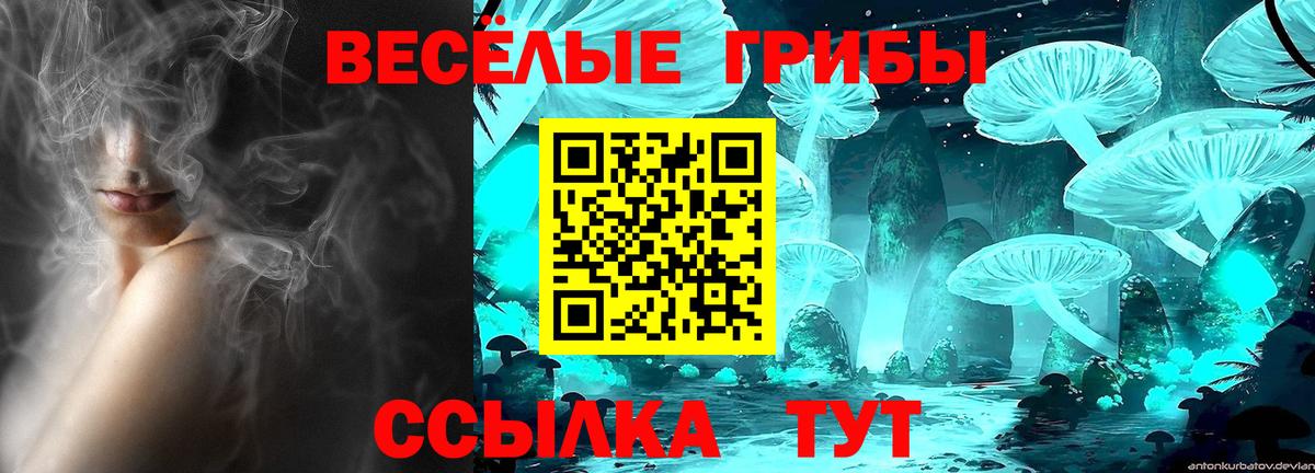 Галлюциногенные грибы Magic Shrooms Лабинск